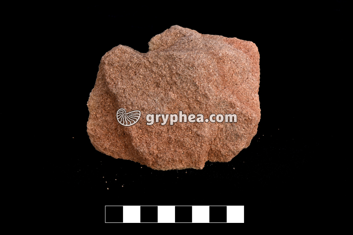 Grès rose - échantillon - gryphea.org